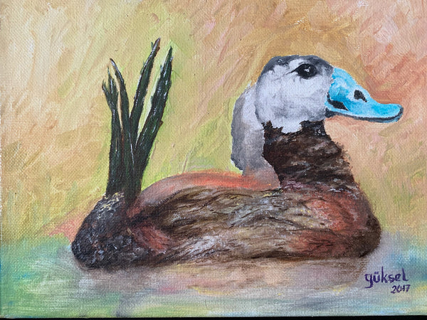 Duck - Oil Painting